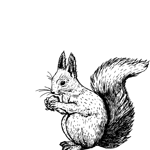 bunny-Icon