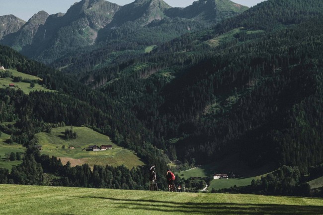 Sommerliche Landschaft