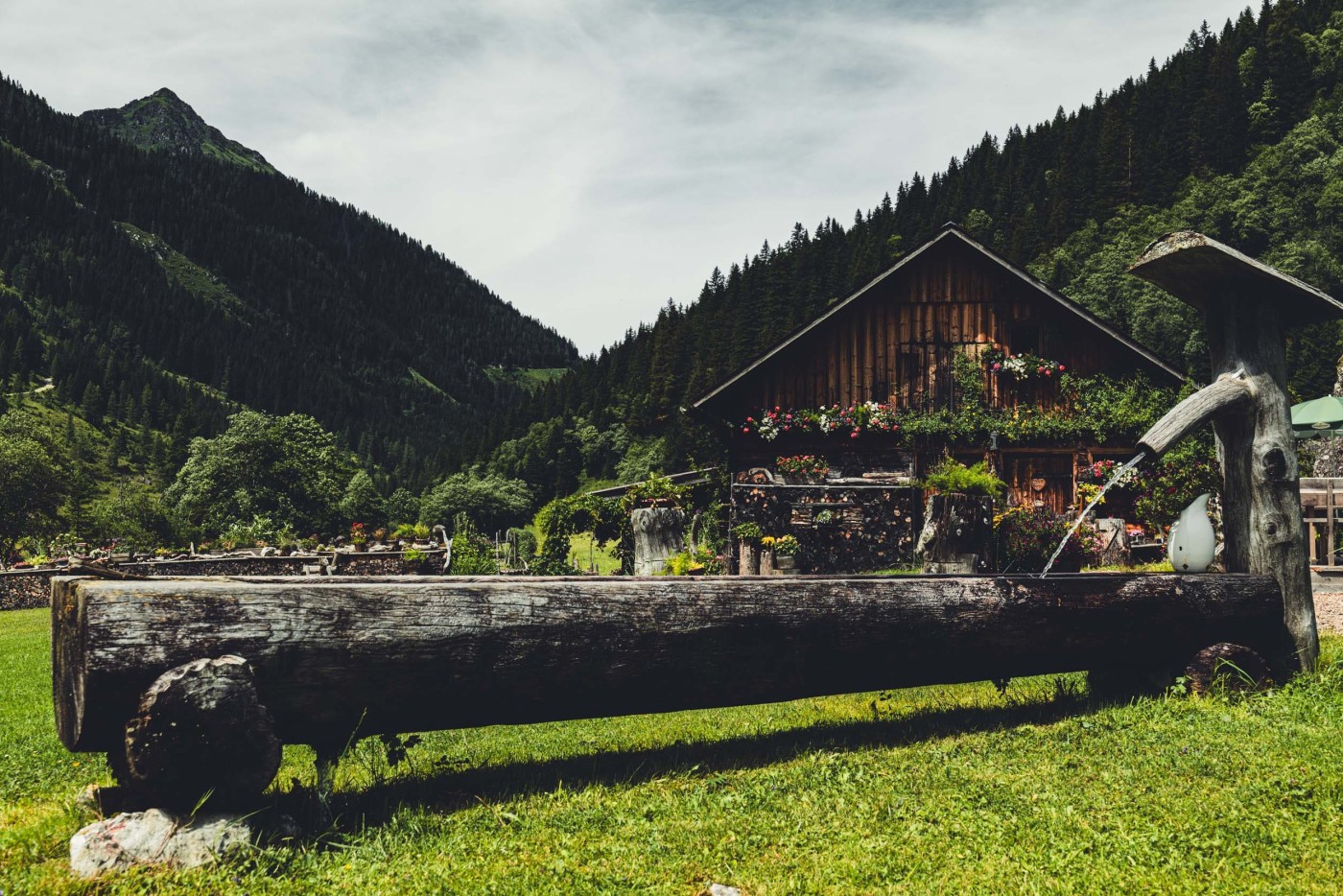 Wanderurlaub in Schladming - Moarhofalm