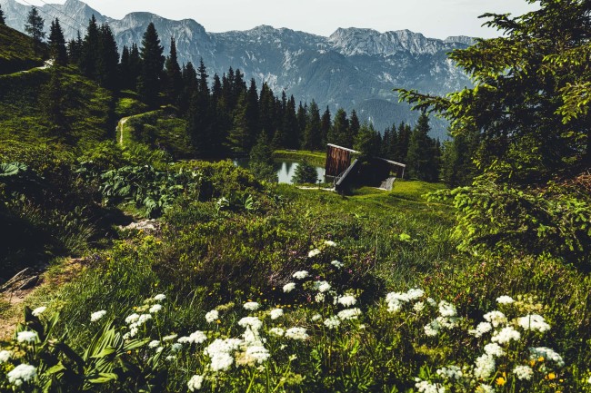 Sommerliche Almlandschaft auf der Planai