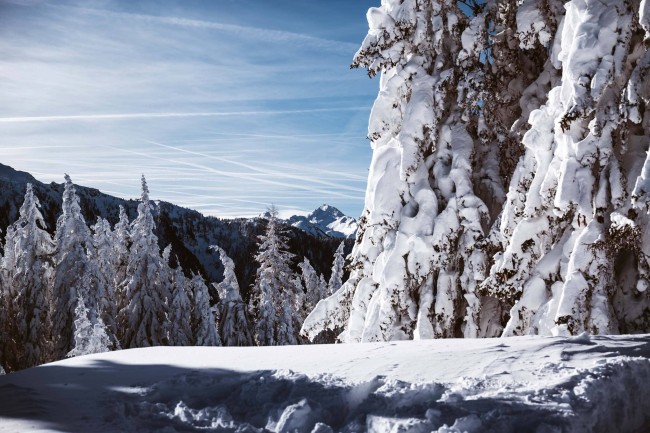 Tief verschneite Winterlandschaft